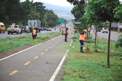 Una cuadrilla de obreros limpiaban espacios verdes en la vía a la costa, el viernes 23 de febrero.