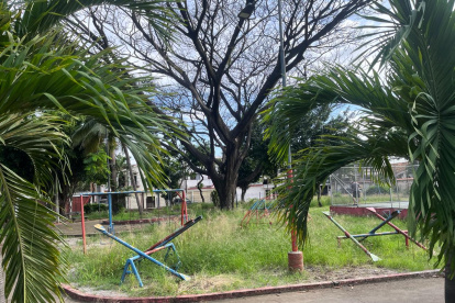 Centenario. El parque luce descuidado y con mucha maleza en los juegos.