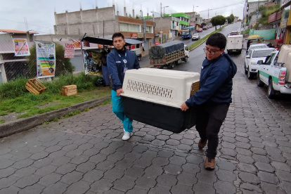 Control. Animales que viven en la calle también recibieron atención.