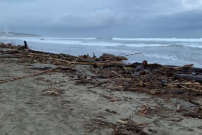 Varias playas de Manabí registraron gran cantidad de palizada