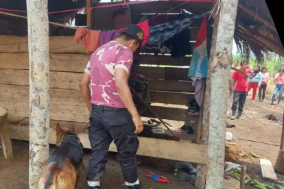 El can ‘señaló’ el punto donde estaba la menor