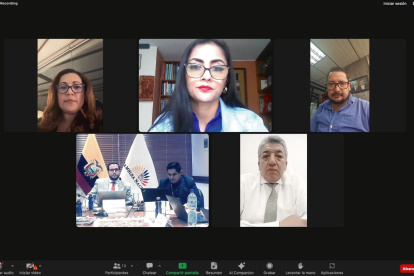 La primera vicepresidenta de la Asamblea, la correísta Viviana Veloz, presidió la sesión del CAL.