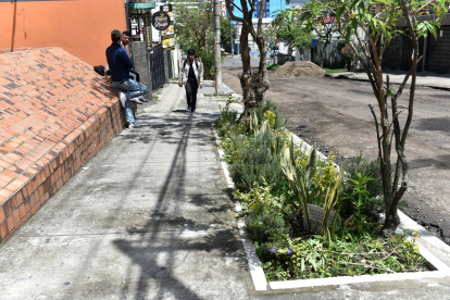 En la calle Vicente Ramón Roca y 6 de Diciembre se colocaron espacios con una variedad de plantas.
