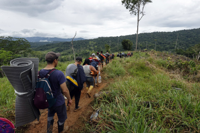 Un grupo de migrantes atraviesa una zona selvática del Darién.