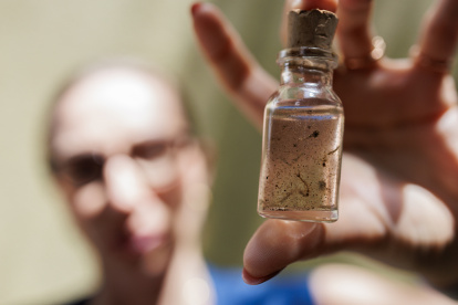 Un miembro de un equipo de vigilancia epidemiológica sostiene un frasco con larvas del mosquito del dengue Aedes aegypti, el 26 de febrero 2024, en São Paulo (Brasil). Las ciudades brasileñas están en alerta por el avance del dengue, cuyos casos en el país superaron el millón de contagios en lo que va del año. São Paulo, la mayor urbe de Suramérica, fumiga sin parar y trata de sensibilizar a los vecinos sobre el peligro, pero a menudo los consejos caen en saco roto. EFE/ Isaac Fontana