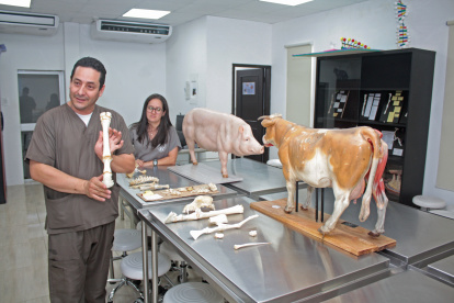 Vista. En el laboratorio de morfociencias se estudian huesos de animales, ubicación y desarrollan habilidades.