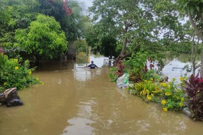 Campo. Los Ríos es la segunda provincia más golpeada por las lluvias, son 4.256 hectáreas de cultivos afectados.