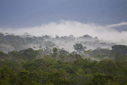 Los investigadores crearon panteteína en agua y a temperatura ambiente utilizando moléculas formadas a partir de cianuro de hidrógeno.