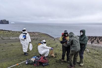 Los científicos españoles, que han observado que el hecho de que un animal se muestre más tímido, agresivo o explorador puede ser determinante en su supervivencia o reproducción.S