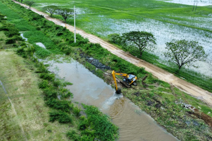 Con maquinaria de brazo largo se realizan los trabajos en el canal.