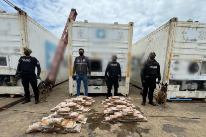 Canes antidrogas participaron del operativo que halló los paquetes de cocaína.