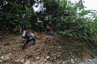 Peligro. Cientos de personas han perdido la vida en esta selva.