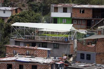 Un cultivo de hortalizas y lechugas en una terraza de la comuna 13