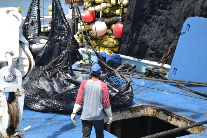 Buque de pesca industria de atún.