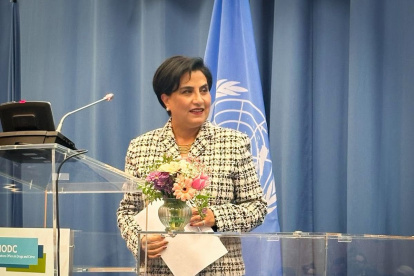 La canciller Gabriela Sommerfeld durante su intervención en la comisión.