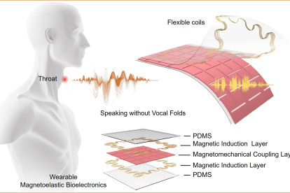Imagen en la que se explica la estructura del dispositivo.