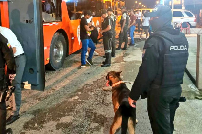 Martín, el perro policía fue clave en el operativo para encontrar el alcaloide.