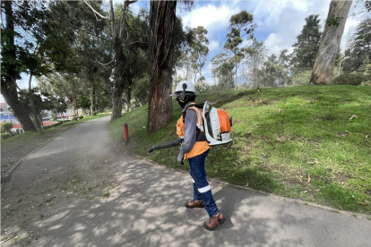 Servidores de la Epmmop realizan trabajos de limpieza y mantenimiento de parques.