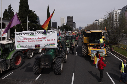 MADRID, 17/03/2024.- Varios tractores y manifestantes participan en una nueva concentración de agricultores y ganaderos en Madrid este domingo. Los agricultores y ganaderos han empezado ya a concentrarse en torno al Ministerio para la Transición Ecológica para iniciar la manifestación que unirá a entre 150 y 200 tractores, dos mil personas y 50 autobuses, convocados por Unión de Uniones, con el fin de pedir soluciones para el campo. EFE/Sergio Pérez