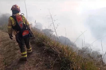 21 efectivos del Cuerpo de Bomberos se encargaron de apagar el fuego.