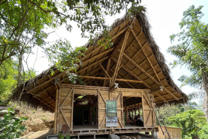 Este trabajo beneficia a 200 artesanos de siete comunas