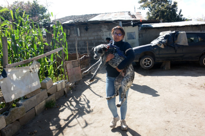 María Belén Chuquimarca rescató a dos perros que estaban amarrados dentro de un predio ubicado en Llano Grande. Otros tres canes se quedaron en la vivienda.