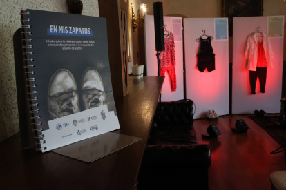 Uun librillo que contiene un estudio sobre violencia sexual denominado "En mis zapatos",