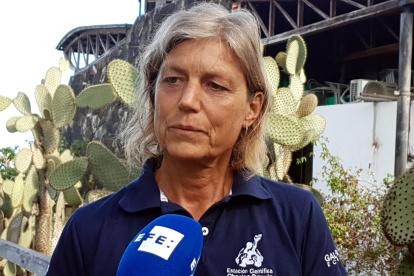 El estudio, realizado en la isla Santa Cruz, donde el bosque de Scalesia comprende solo el 3 % de su distribución histórica