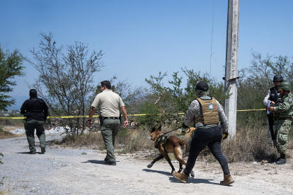 Integrantes de la fiscalía estatal acompañados de binomios caninos trabajan este jueves en la zona donde se localizaron cinco restos humanos en el municipio de Pesquería (México).