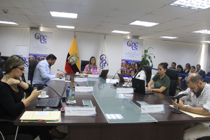 La presidenta del CPCCS, Nicole Bonifaz, adelantó que la terna será convocada a audiencia pública.