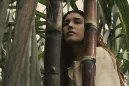Lugar. El rodaje tuvo lugar en uno de los pocos bosques primarios en la cordillera occidental de los Andes del Ecuador.