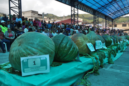 Fiesta. Entre los participantes escogieron al zapallo más pesado y más grande