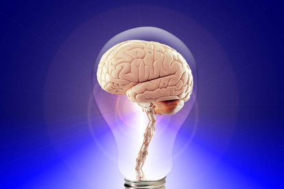 La memoria es la capacidad de los seres humanos para aprender, evocar y almacenar la información aprendida.