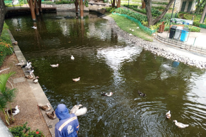 . Acción. Los patos en peligro de extinción, de acuerdo con el Malecón 2000, están en un estante en el que se advierte a la ciudadanía que no se les dé alimentos para humanos. 2. Aviso. En los baños hay carteles que advierten las normas para su buen uso. Por ejemplo, no se puede lavar ropa ni usarlos para aseo personal.
=======