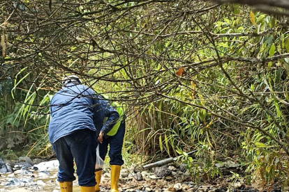 Derrame de petróleo en sector Sardinas, en Napo.