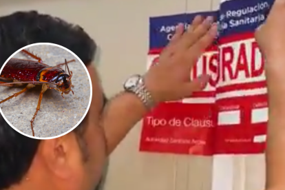 El lugar fue clausurado luego de constatar la presencia de cucarachas en varios espacios de almacenamiento de alimentos