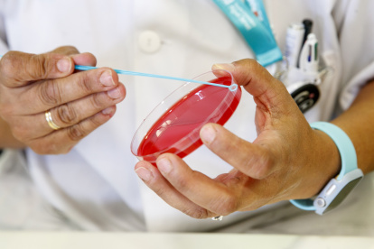 Archivo. Personal técnico de laboratorio prepara unas muestras para análisis