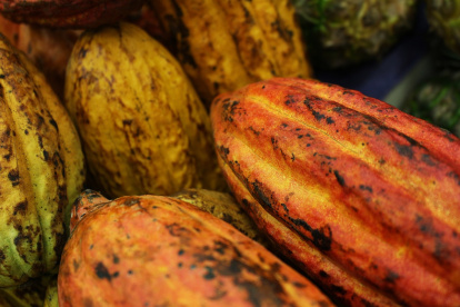 El precio del cacao no ha dejado de subir por problemas en los productores africanos.
