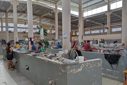 Espacio. Por problemas ligados sobre todo a la insalubridad, el centro municipal de abastos permanece prácticamente vacío. A diario, son contadas las personas que acuden al lugar en busca de productos.