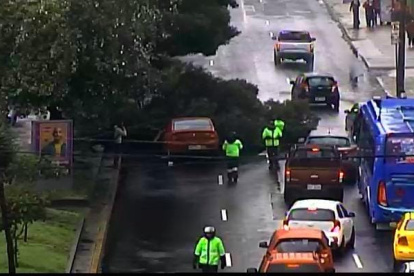 El árbol cayó sobre un vehículo en la Av. Los Shyris y Telégrafo