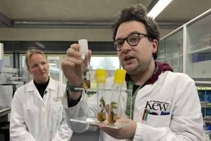 El investigador Davide Gerna, del Banco de Semillas del Milenio explica los procedimientos de su trabajo