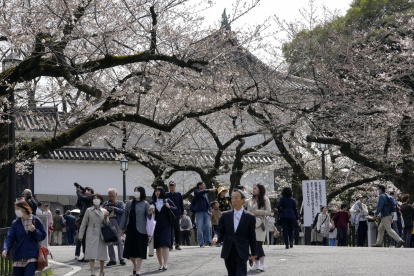 Las olas de calor ponen en riesgo la apertura de los capullos.