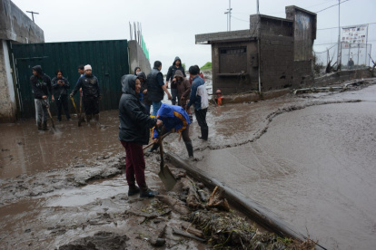 Limpieza del sector.