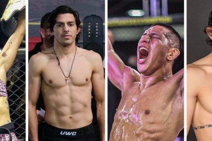 Ecuatorianos elegidos