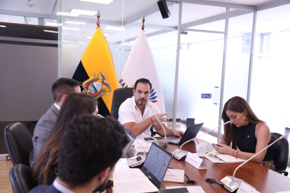 El asambleísta oficialista y presidente de la mesa de Relaciones Internacionales de la Asamblea Nacional, Jonathan Parra, también fiscalizará el ingreso a la Embajada de México.