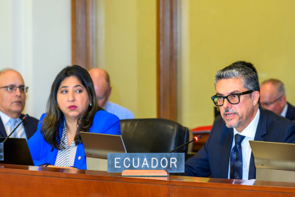 El vicecanciller, Alejandro Dávalos, planteó ante la OEA la actualización de las normas sobre asilo diplomático, tras el impasse con México.