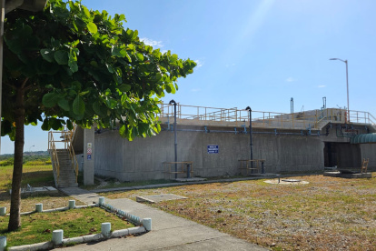 La planta se quemó.