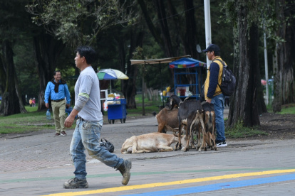 En varios puntos de la ciudad se ha identificado la venta de leche.