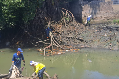 Después de las quejas de la ciudadanía, el Cabildo tomó acción ante la problemática.