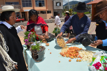 Acto. La producción de cebollas, papas y maíz prevalece en las familias.
